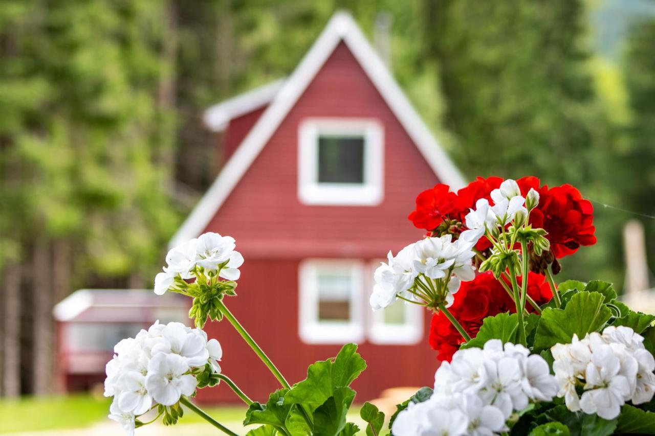 Ferienhaus Erzgebirgsidyll Breitenbrunn (Saxony)
